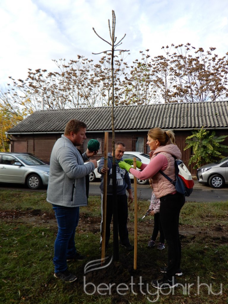 Közösségi faültetés Berettyóújfaluban 24